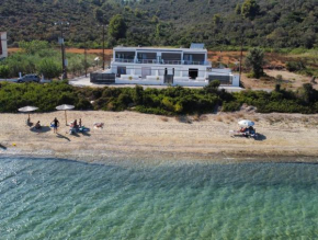 Maurizio's Villa